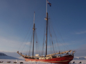 Norway dog sledding holiday